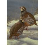 Robert E Fuller (British 1972-): Red Legged Partridges in Snow