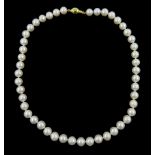 Single strand cultured pearl necklace