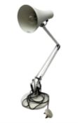 Anglepoise lamp