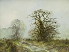 Alwyn Crawshaw (British 1934-): Wooded Country Lane