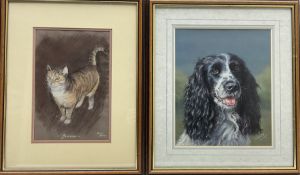 Catherine E Inglis (British contemporary): Springer Spaniel