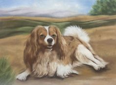 English School (Contemporary): King Charles Cavalier Spaniel