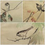 Watanabe Seiti (Japanese 1851-1918): Sparrows and Birds on Branches
