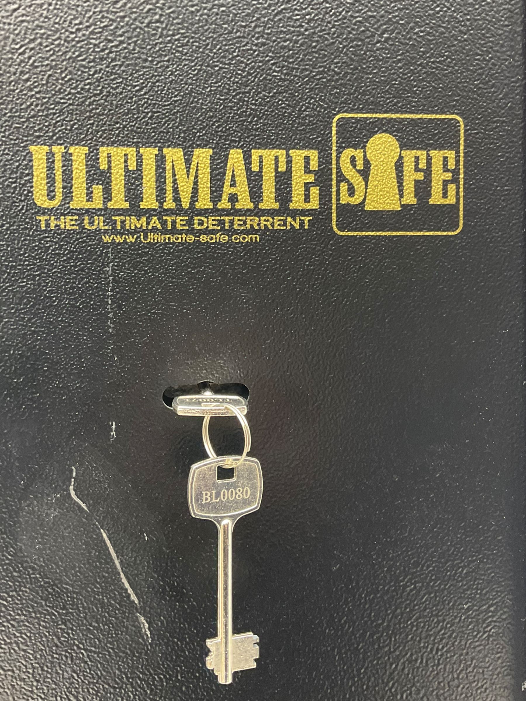 Ultimate safe metal three gun cabinet - Image 6 of 10