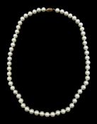 Single strand cultured white pearl necklace