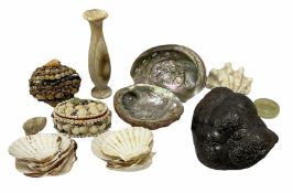 Collection of shells and specimens