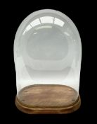 Victorian glass dome on stripped birch base