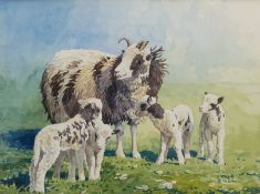Simon Bull (British 1958-): Ram and Lambs