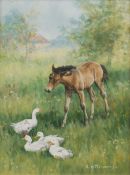 Glynn Williams (British 1955-): 'Foal and geese'