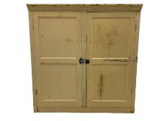 Large 19th century painted pine cupboard