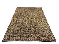 Persian Meshed golden blue ground Herati carpet