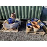 Glazed and other garden planters