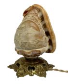 Carved conch shell table lamp