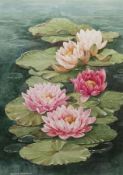 Bobbie Simmons (British late 20th century): 'Water Lily'