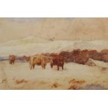 Thomas Hunt (British 1854-1929): Highland Cattle in the Snow