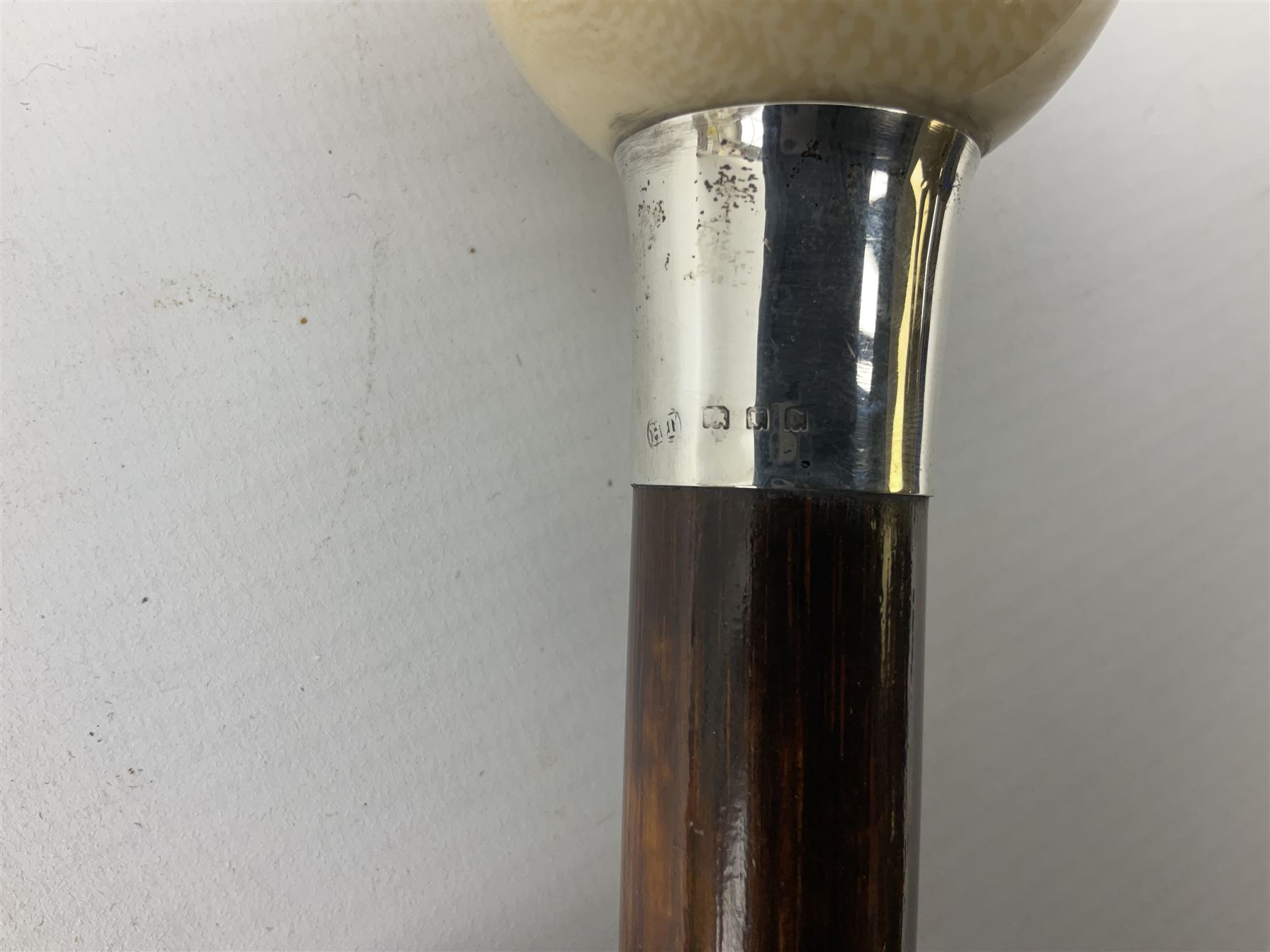 Early 20th century walking cane with turned ivory 'Snooker Ball' handle - Image 3 of 5