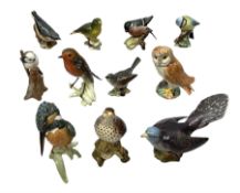 Collection of Beswick birds