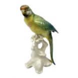 Karl Ens porcelain figure of a parrot