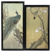 Japanese School (20th century): Peacock and Finch in Cherry Blossom Tree