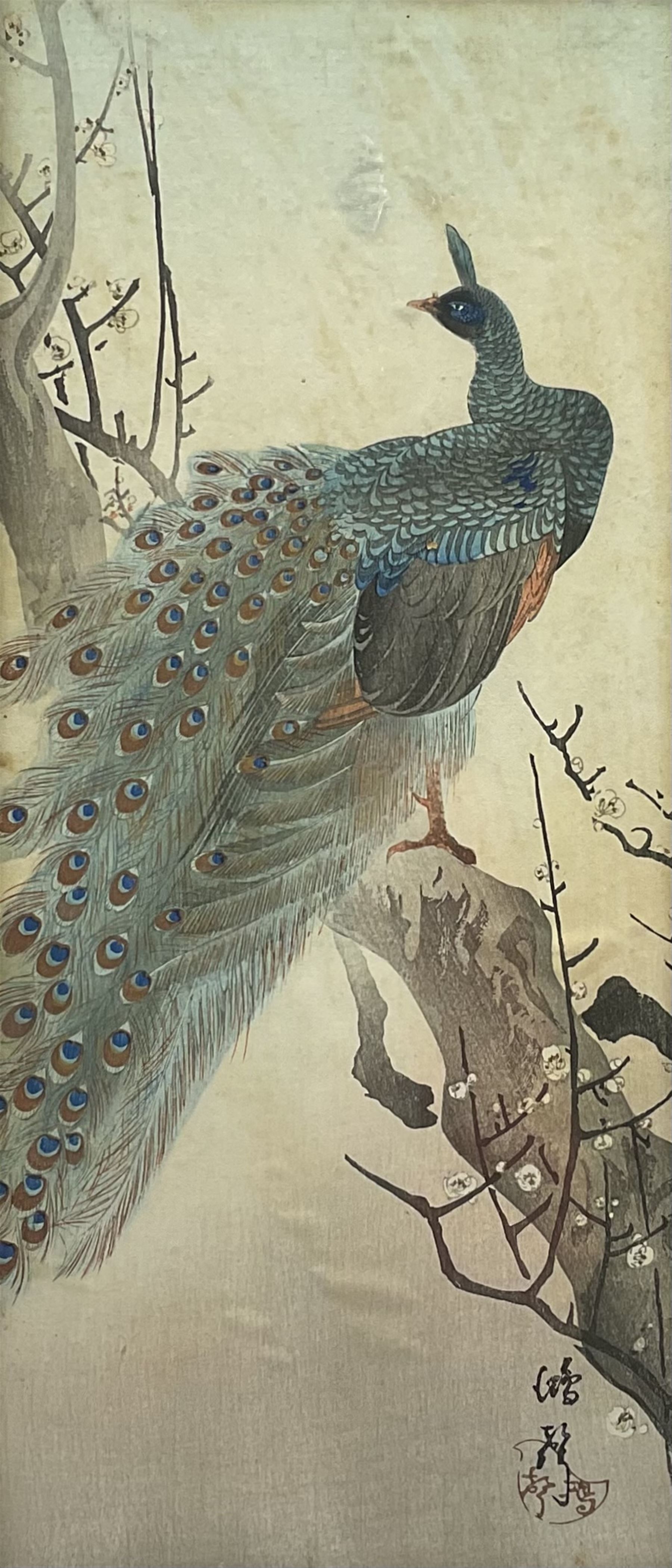 Japanese School (20th century): Peacock and Finch in Cherry Blossom Tree - Image 2 of 3