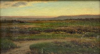 Joseph Knight (British 1837-1909): 'Conway' Heathland