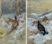 James Stinton (British 1870-1961): Pheasants and Grouse in Winter Landscapes