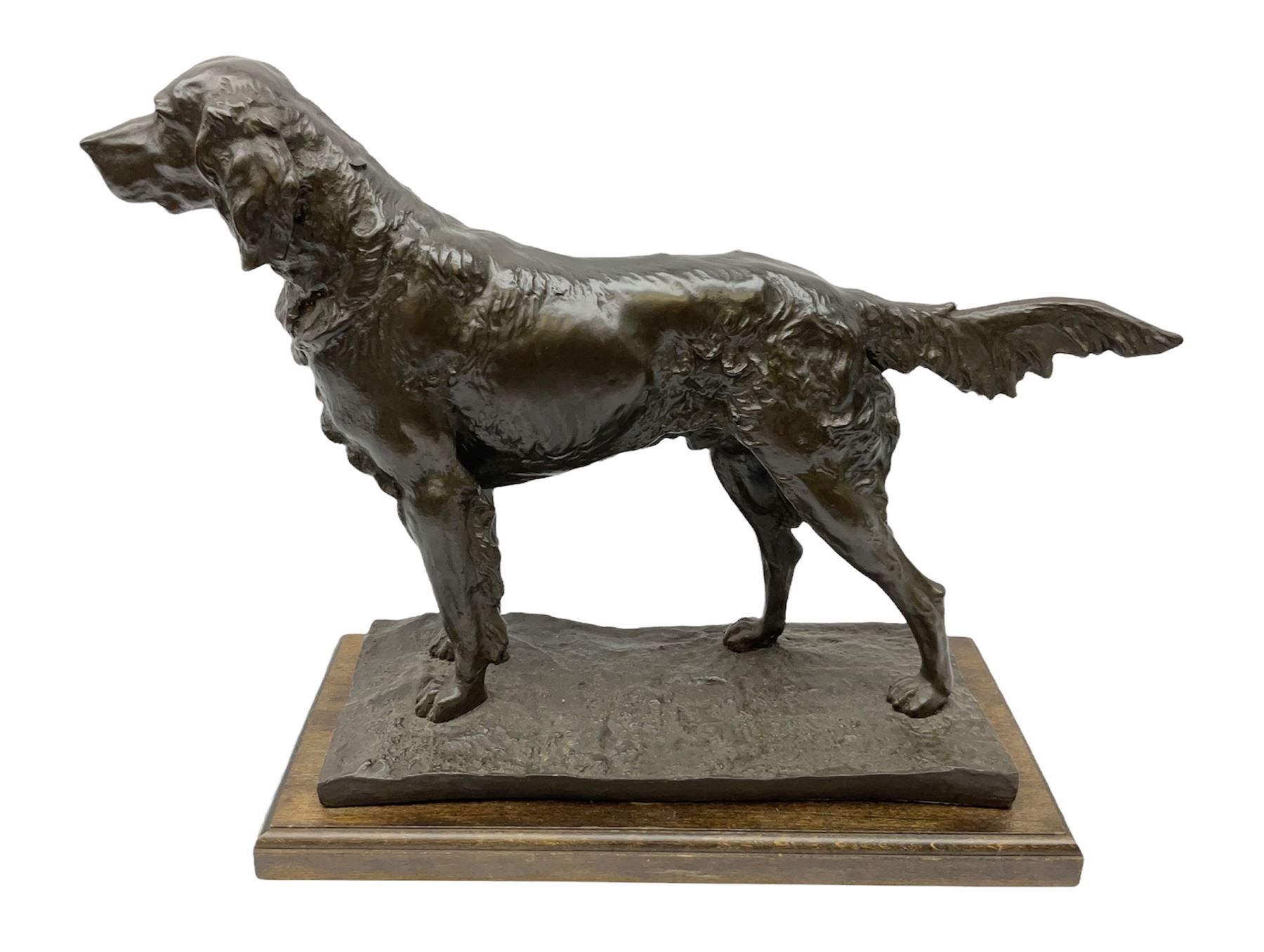 Bronzed figure of a hunting dog raised upon a stepped oak base