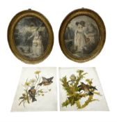 Two victorian oil paintings of birds in naturalistic settings on milk glass panels