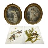 Two victorian oil paintings of birds in naturalistic settings on milk glass panels