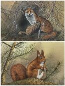 Jennifer A Bell (British 20th century): Fox with Cub and Squirrel