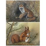 Jennifer A Bell (British 20th century): Fox with Cub and Squirrel