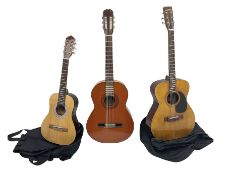 Saxon acoustic guitar Folk Model 812