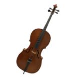 Modern student's three-quarter size cello with 70cm two-piece maple back and ribs and spruce top