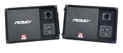 Pair of Peavey unpowered monitors serial nos.E1195442/E1195449 L55cm (2)