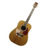 Tanglewood Earth 1000 electro-acoustic guitar
