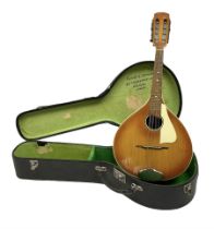 Rosetti Serenader eight-string mandolin with slightly bowed segmented maple back and ribs and ivorin