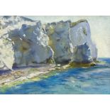 Catherine Tyler (British 1949-): 'Cliffs at Seaford - Sussex'