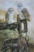 Robert E Fuller (British 1972-): Barn Owls