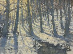 William Burns (British 1923-2010): 'Blue and Gold - the Wood in Winter'