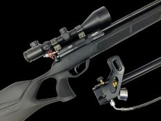 Gamo Phox PCP .22 air rifle with thumbhole pistol stock and 3-9x56 telescopic sight