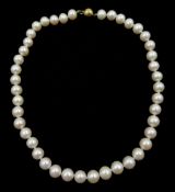 Single strand white cultured pearl necklace