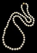 Single strand pearl necklace