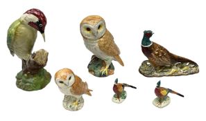 Six Beswick bird figures comprising large barn owl no.1046