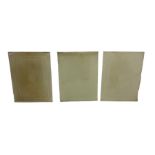 Three Edwardian frosted glass panels