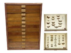 Entomology: collector's table top cabinet of assorted butterfly and moth specimens