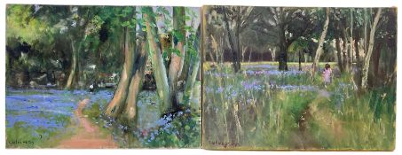 Malcolm Ludvigsen (British 1946-): Bluebell Woods - 'Bishops Palace York' and 'End of Heslington Gol