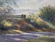 Jill Grinstead (Northern British Contemporary): Rural Landscape with Path and Gate