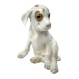 Royal Copenhagen figure of a pointer puppy