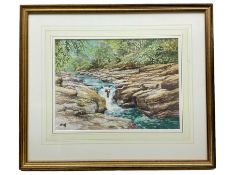 George 'Griff' Griffiths (British 1939-2017): The Strid at Bolton Abbey