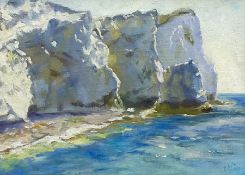 Catherine Tyler (British 1949-): 'Cliffs at Seaford - Sussex'